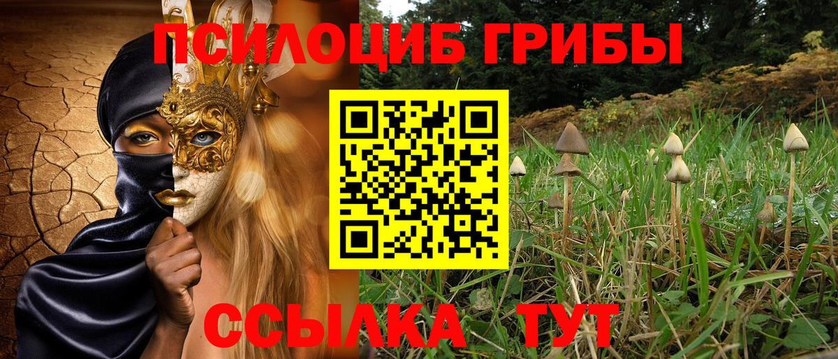 Оренбург  Галлюциногенные грибы прущие грибы  Вход с VPN  дарнет шоп  Галлюциногенные грибы Cubensis 